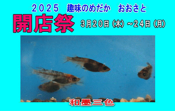 QOQT̂߂@Ɓ@JXՁ@i_}_JǉēW̔܂j@RQOQS
