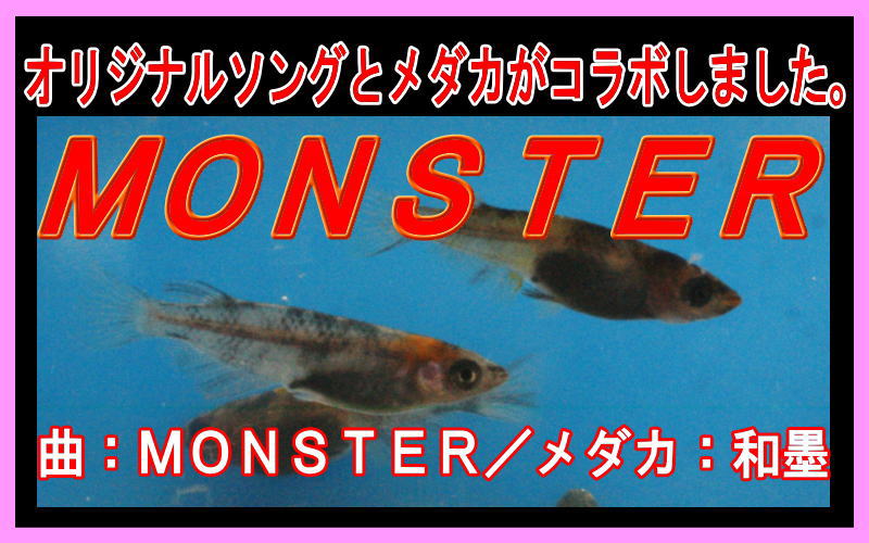 �I���W�i���\���O�ƃ��_�J���R���{���܂����BKOKO-MV�@�V�ȁ@MONSTER�i�����j